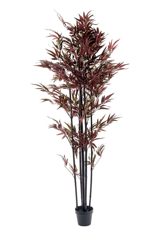 Bamboo Tree Red & Green 180cm -  - Just £114.99! Shop now at PJF stores LTD