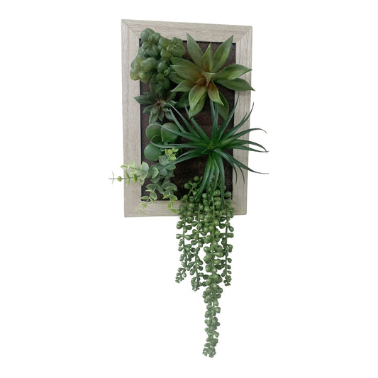Artificial Succulents In Wooden Frame -  - Just £35.99! Shop now at PJF stores LTD