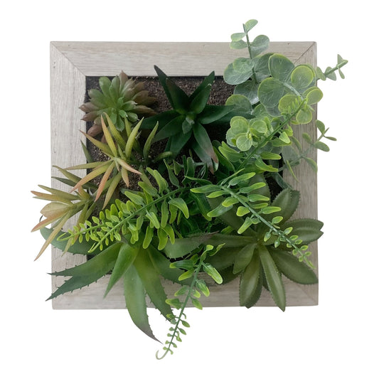 Artificial Succulents In Square Wooden Frame -  - Just £30.99! Shop now at PJF stores LTD