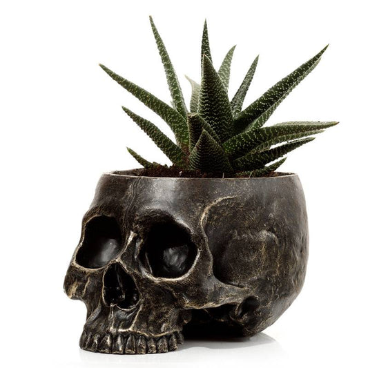 Skull Garden Planter - Plantpot - Just £21.99! Shop now at PJF stores LTD