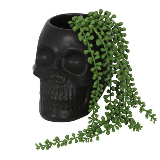 Black Skull Plant Pot -  - Just £20.64! Shop now at PJF stores LTD